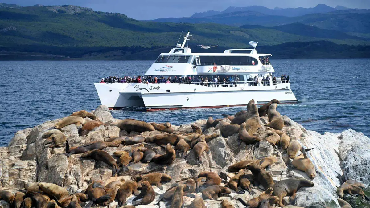 Sea lions hauled out on the rocks of Bridges Islands in the Beagle Channel on a boat tour from Ushuaia, Argentina
